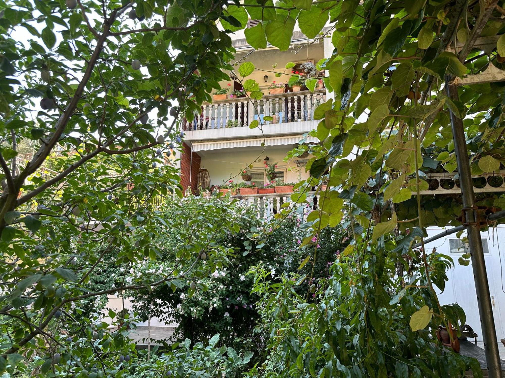 Apartments Suzana Херцег-Нови Экстерьер фото